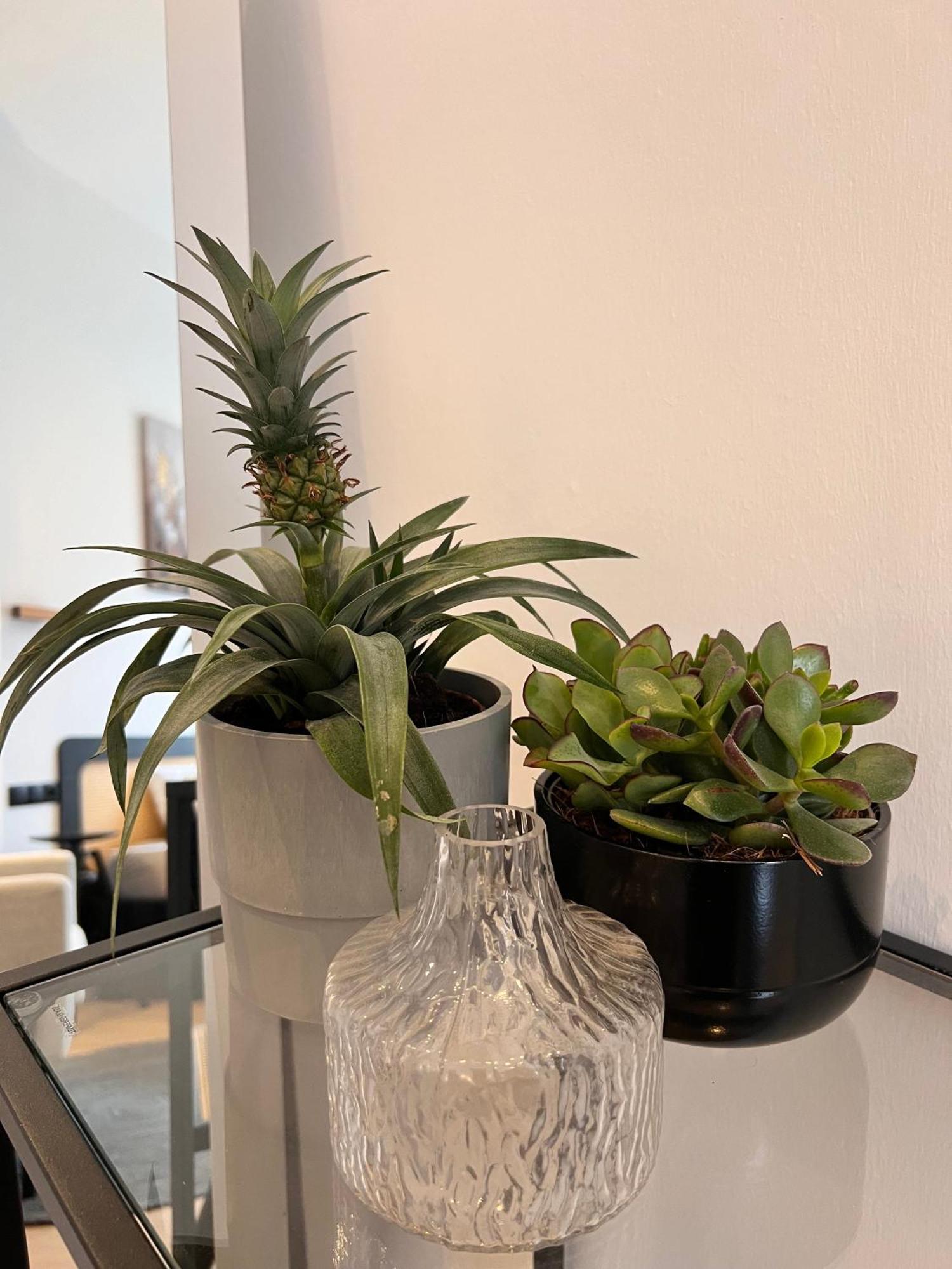 Modern Stay I Cosy & Central Apartments Кобленц Экстерьер фото